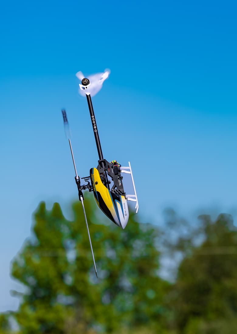 Three caladiums on different height platforms